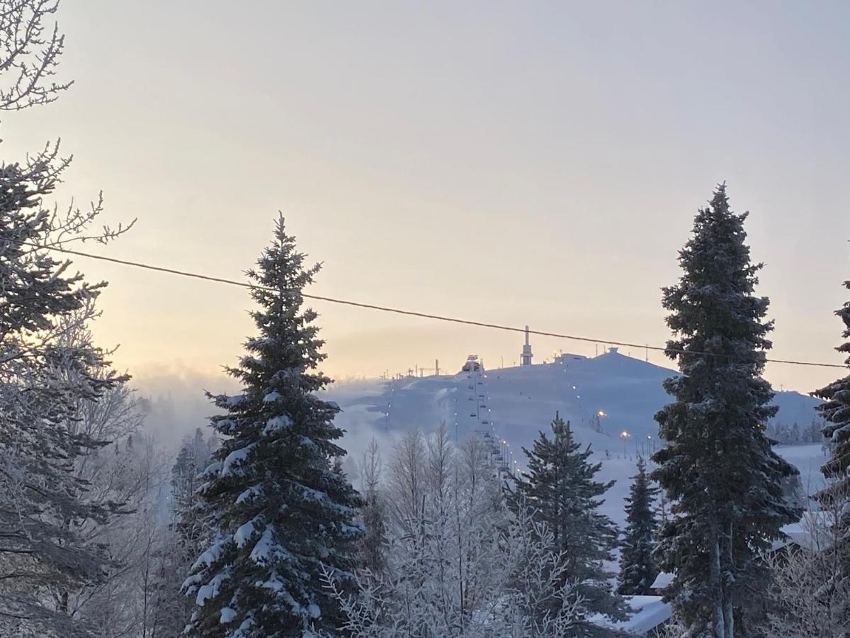 Villa Saarua By The Slopes Ski In, Family & Bike Park, Hike Trails, National Park, Wifi - Lapland Villas Ruka Luaran gambar