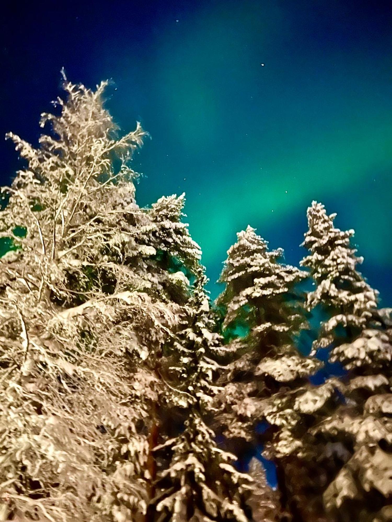 Villa Saarua By The Slopes Ski In, Family & Bike Park, Hike Trails, National Park, Wifi - Lapland Villas Ruka Luaran gambar